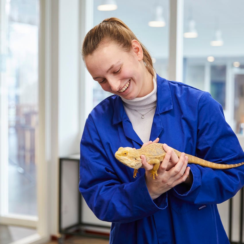 Docent leidt groep lachende studenten in klaslokaal