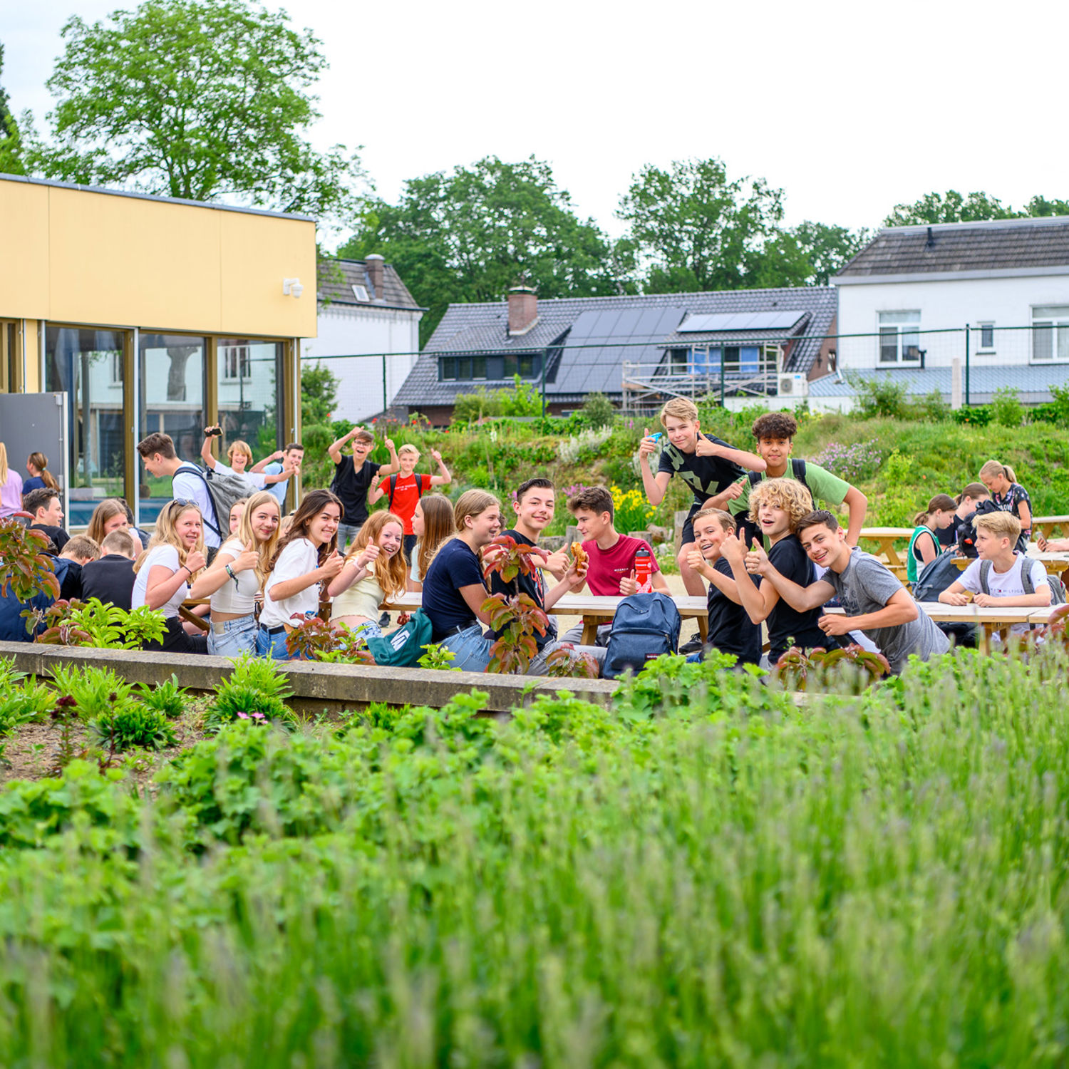 Onze vakdocent Duncan buiten bij een groep eenden