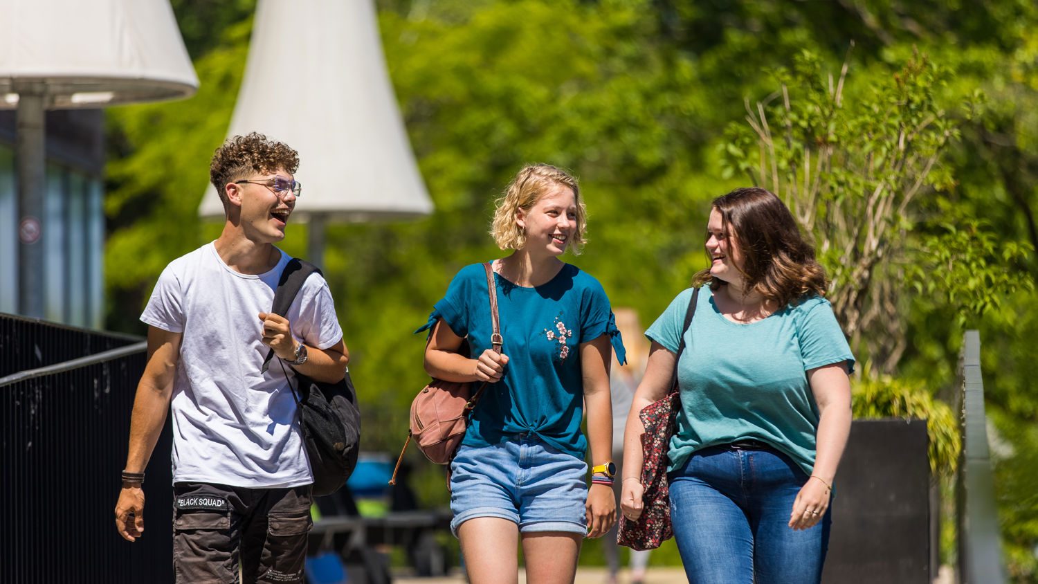 drie giraffes in achter een hek