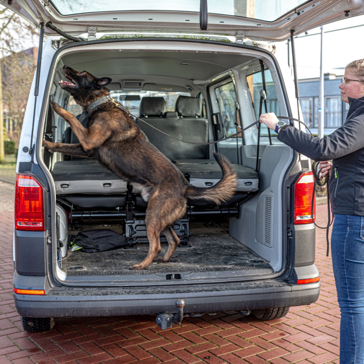 drie giraffes in achter een hek