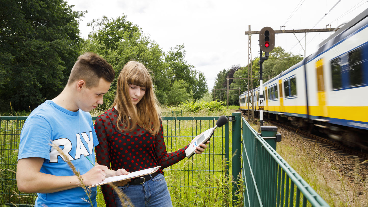 drie giraffes in achter een hek