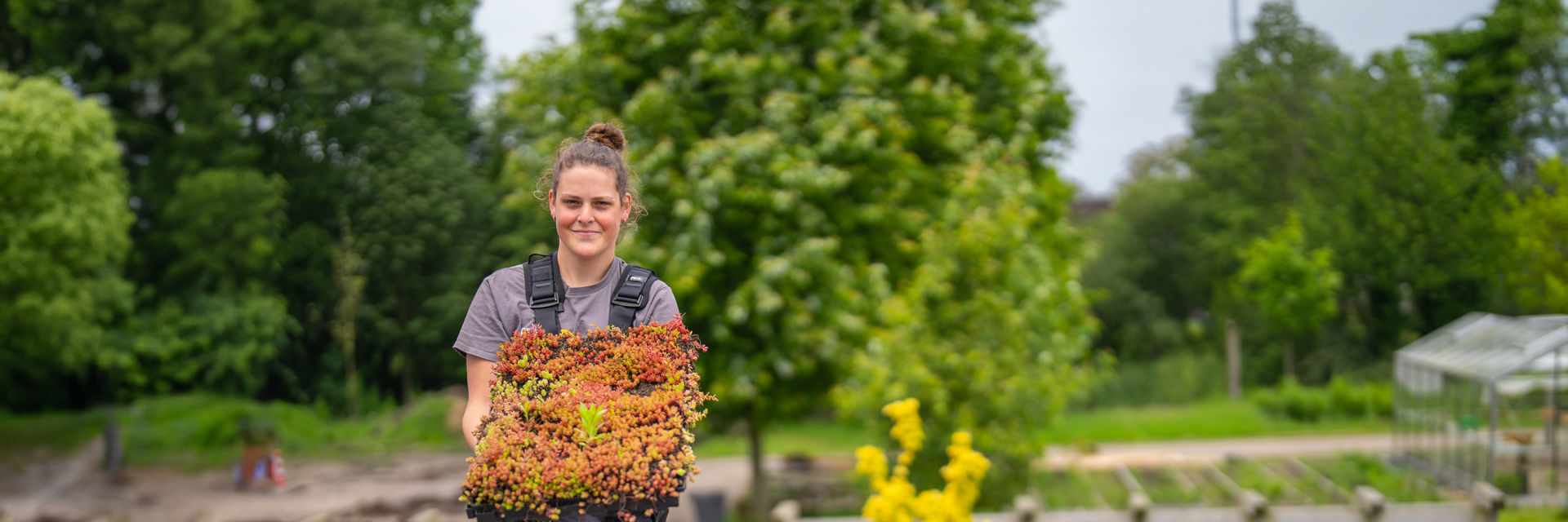 Een student begint de aanleg voor een daktuin