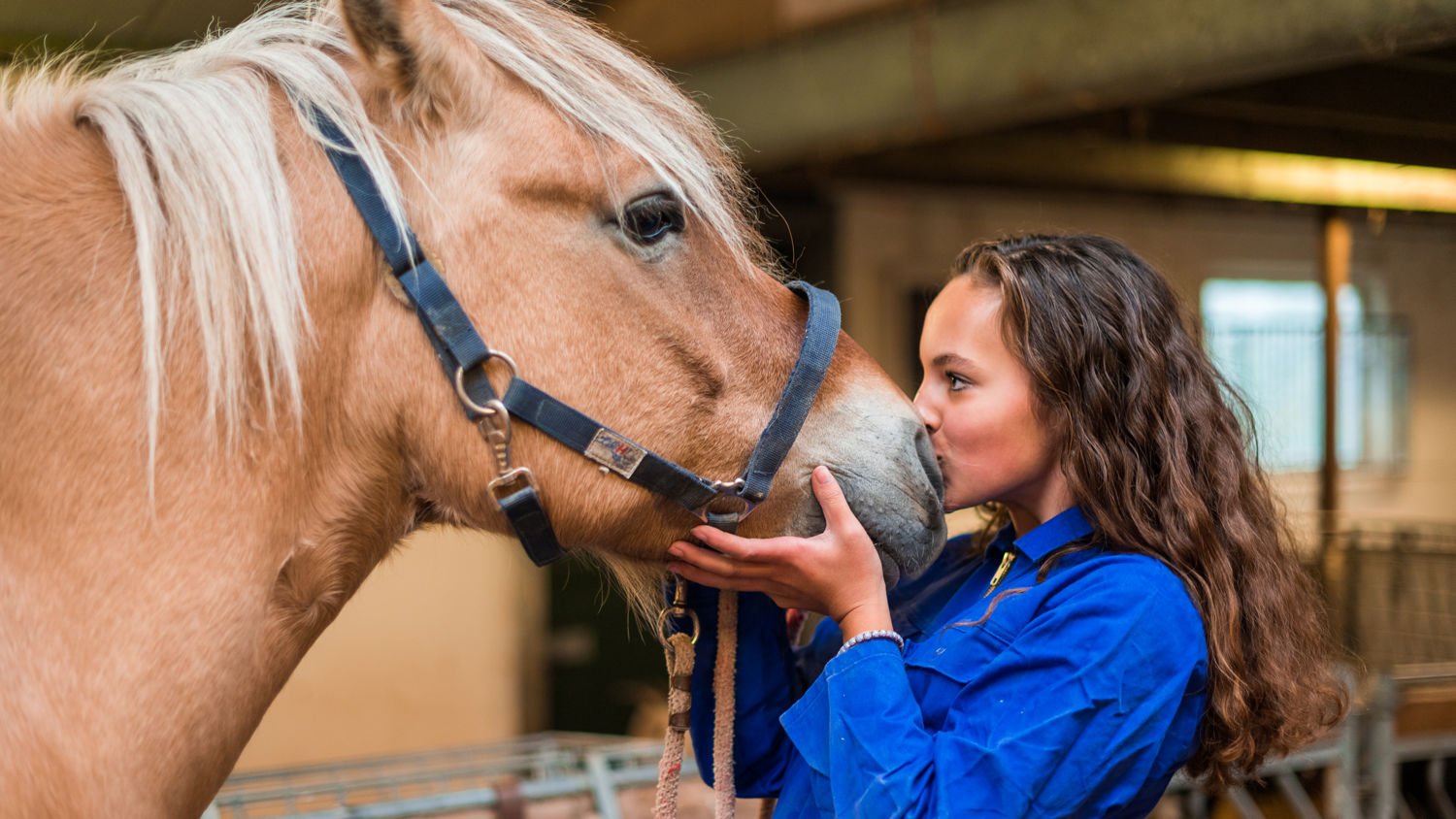 Drie dierenartsen met een hond