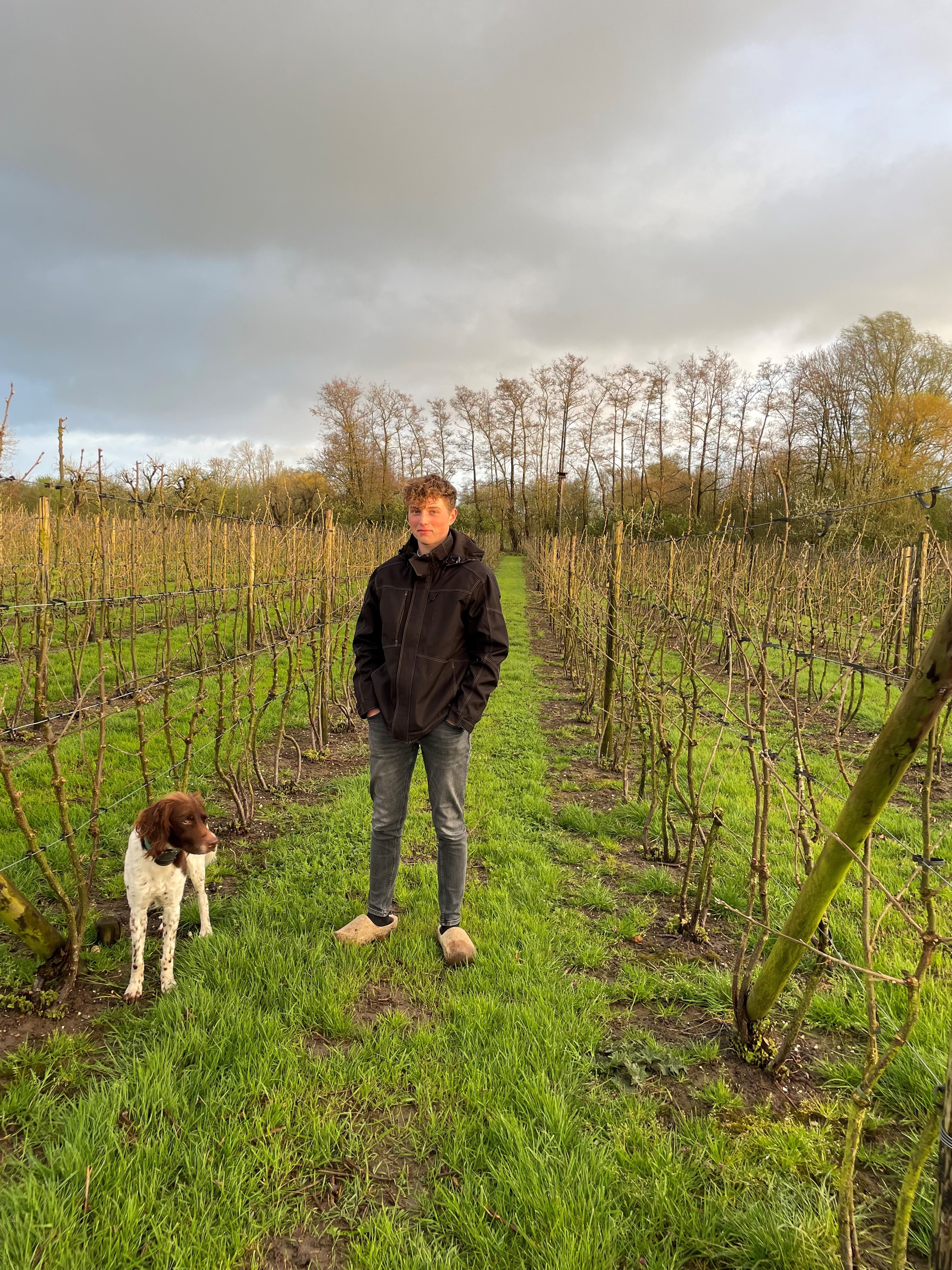 Jongen op een fruitteeltveld